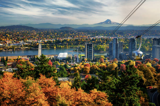 Portland Skyline